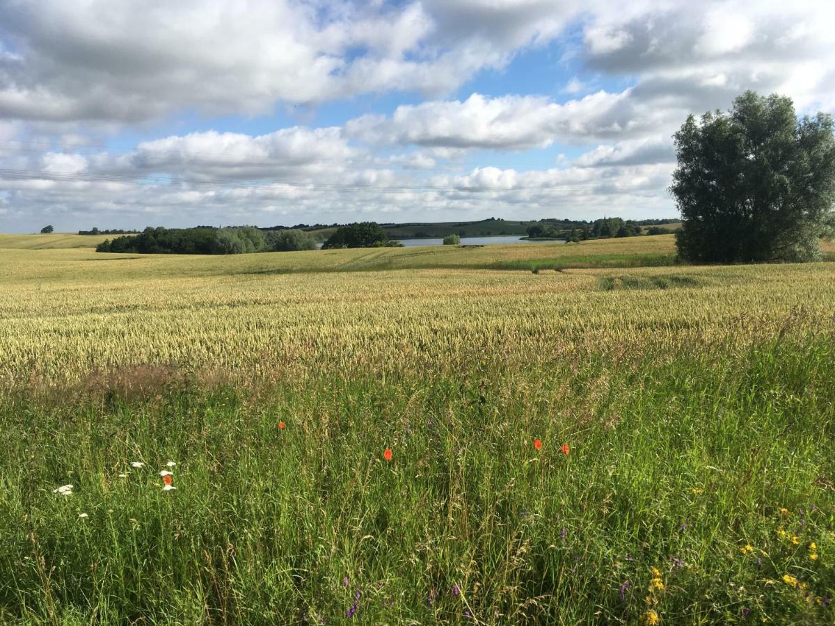 Nussbaumhof Mit Koppel Casa di campagna Plath