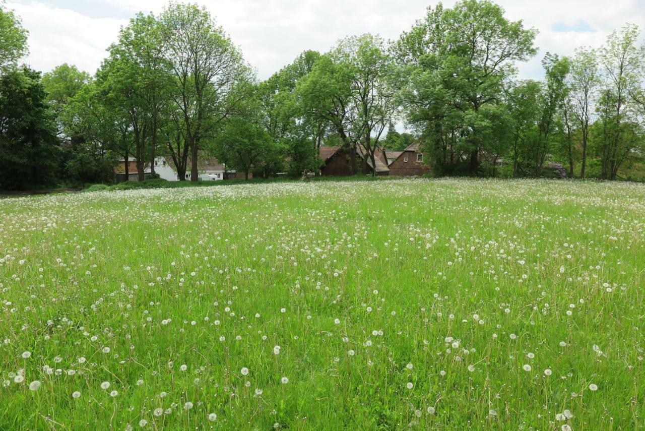 Nussbaumhof Mit Koppel Plath