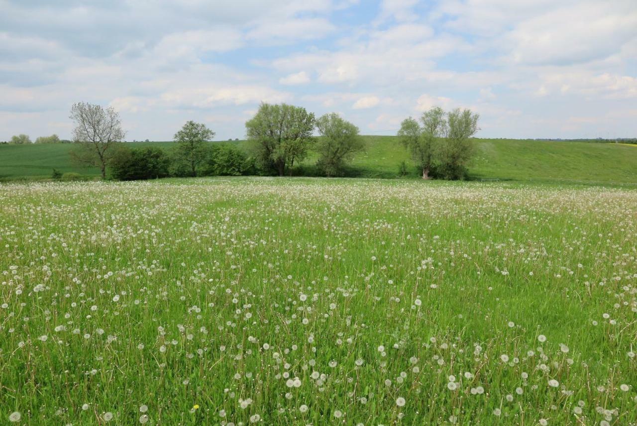 Séjour à la campagne Nussbaumhof Mit Koppel Plath